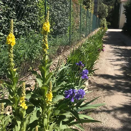 La Gloriette * Saumane-de-Vaucluse